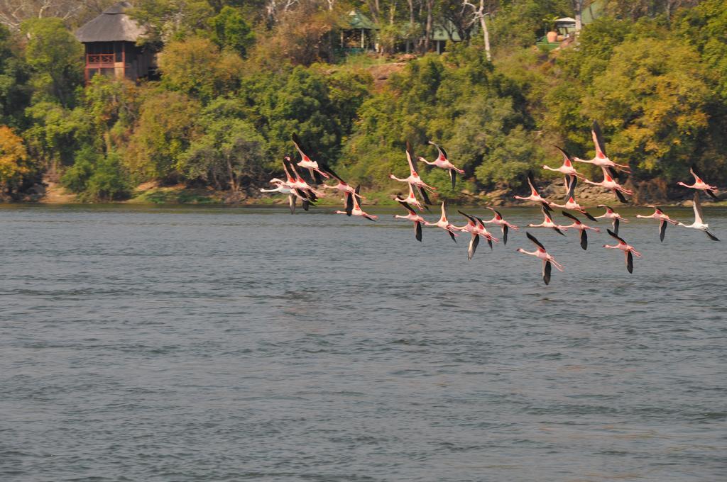 The River Club Livingstone Bagian luar foto